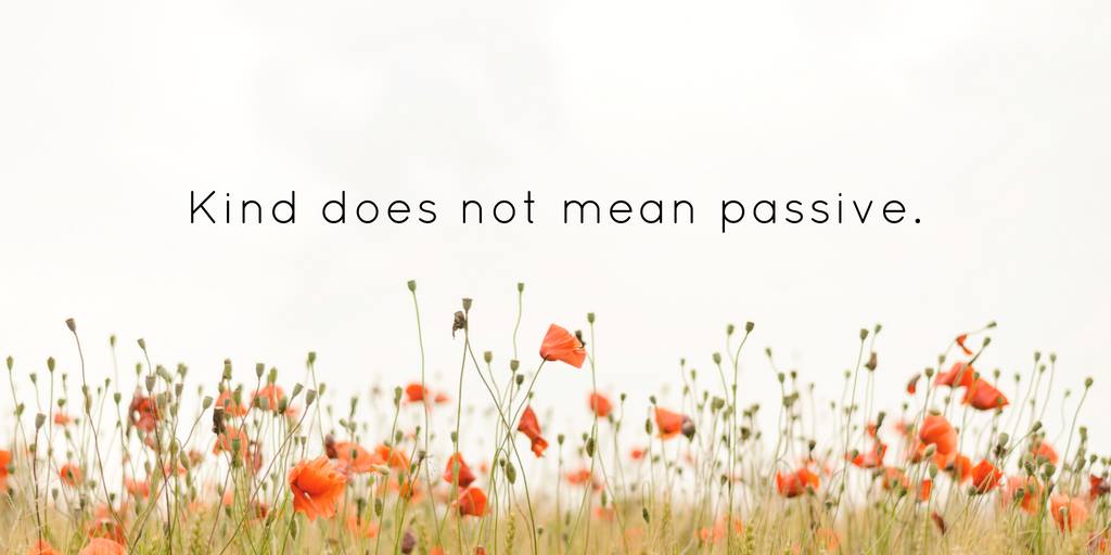 A meme image showing a field of poppies and the message, Kind does not mean passive.