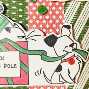 Close-up of the dog and cat, showing a sequin as the tag on the dog’s collar